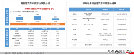 电动车价格普遍上调，新能源车市能否实现预期性增长？