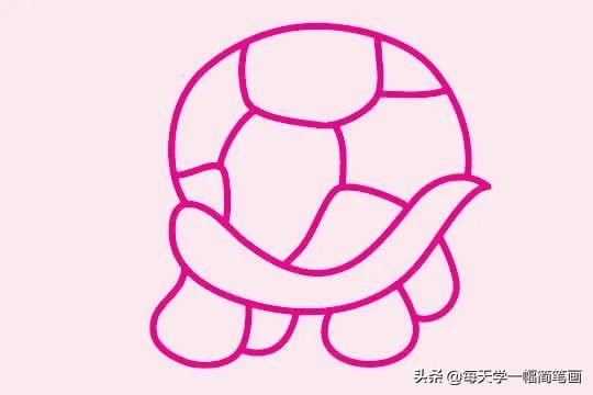 每天学一幅简笔画--简单的乌龟简笔画画法步骤教程及图片大全