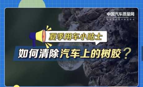 夏季用车小贴士——如何清除汽车上的树胶？