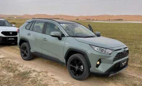 沙漠试驾丰田RAV4荣放混动版，二十多万买它值得吗？