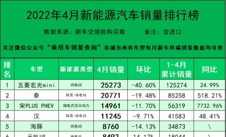 2022年4月新能源汽车分车型销量排行榜