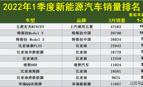 1季度新能源汽车销量排名TOP100：Model Y失冠，汉、秦 ...