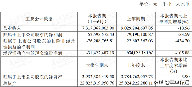 12家新能源汽车上市公司半年报：半数净利润下滑 寒流从下至上蔓延