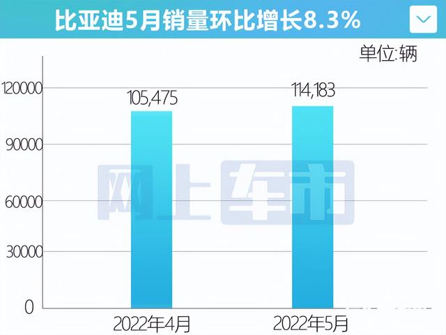 比亚迪盯上宏光MINI了？“小海豚”街拍曝光，造型喜欢吗？