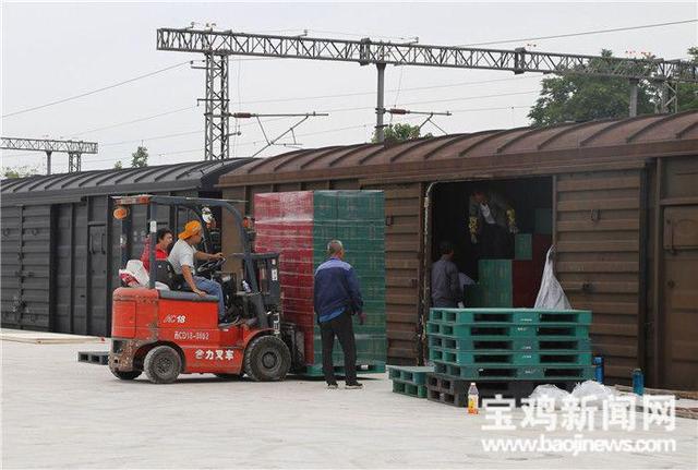 打造多层级综合交通枢纽 陇海铁路眉县东站货运开通