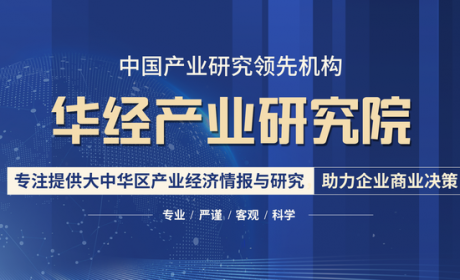 铅酸电池：电动车市场占比高，行业整合，龙头企业优势明显「图」