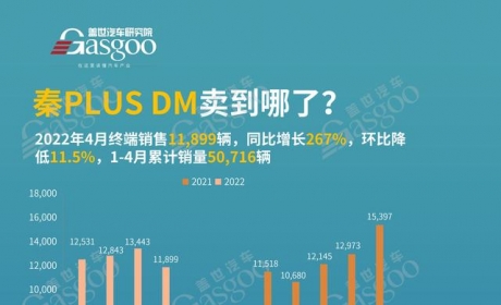 秦PLUS DM卖到哪了？4月销量TOP20各城市排名