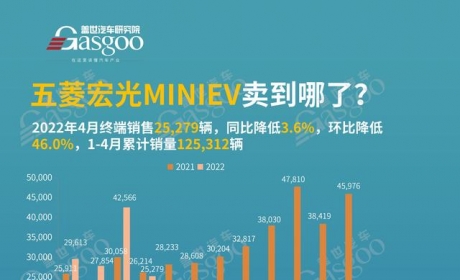 五菱宏光MINIEV卖到哪了？4月销量TOP20各城市排名