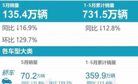 点评5月新能源销量榜：洗掉国外品牌那一天，终于来了？