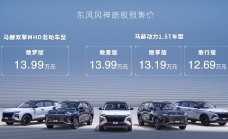 13万级混动SUV 皓极预售12.69万元起