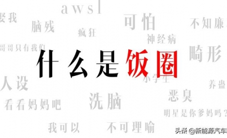 整治饭圈文化暂时未蔓延至汽车行业，特斯拉、蔚来终于松了口气