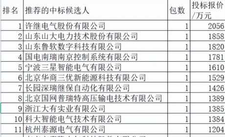 国网充换电设备2.5亿9企分，国网占31.3%中国电气12%山东大学7.4%