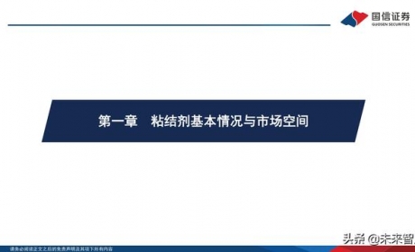 锂电池粘结剂行业专题报告：国产替代与技术迭代并行