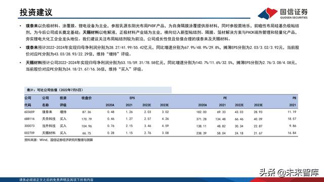 锂电池粘结剂行业专题报告：国产替代与技术迭代并行