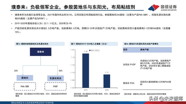 锂电池粘结剂行业专题报告：国产替代与技术迭代并行