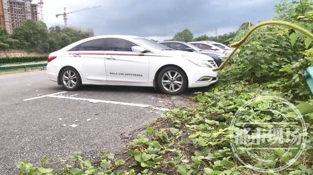 小车1分钟别大货车5次，结果你猜怎么着...