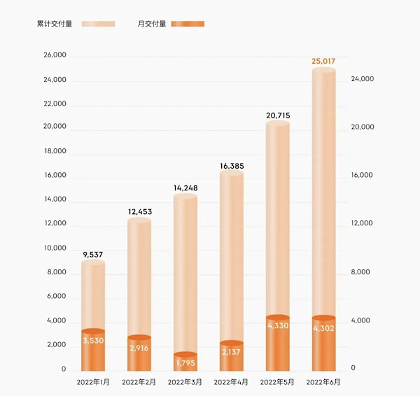 “爽文”主角极氪，处在蜕变之前