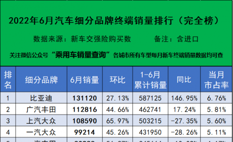 2022年6月汽车细分品牌终端销量排行榜（完全版）出炉