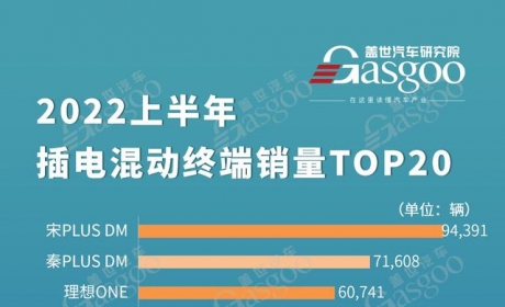 2022上半年插电混动车型终端销量TOP20排名