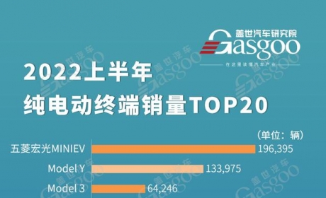 2022上半年纯电车型终端销量TOP20排名