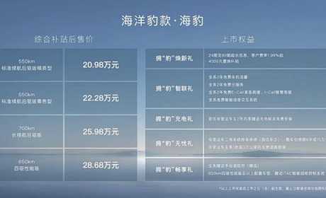 年轻人的纯电轿跑首选，比亚迪海豹正式上市，起售价20.98万元