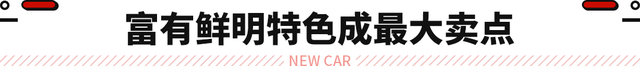 颜值吊打15万级对手！吉利星耀曝光 豪车同款动力还有混动？