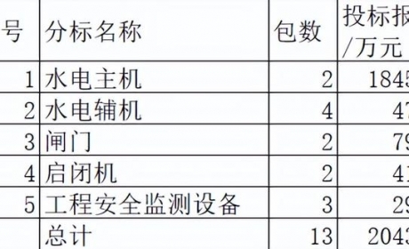 国网2022-2抽水蓄能物资20亿11企分，东方电气哈尔滨电机占90.3%