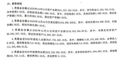 比亚迪女高管豪捐1.6亿！年薪796万，比王传福还高，35亿身家来自哪里？