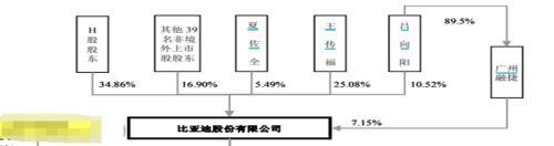 比亚迪女高管豪捐1.6亿！年薪796万，比王传福还高，35亿身家来自哪里？