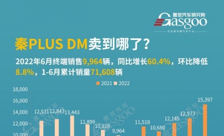 秦PLUS DM都卖到哪了？各城市终端销量排名