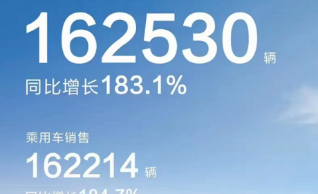 比亚迪太快了，7月份销量大幅增长183%，前7月就超过去年总量