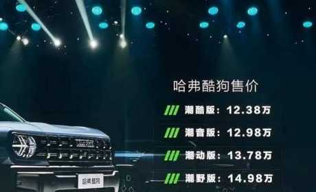 “不输路虎和JEEP”，哈弗酷狗12.38万元起售