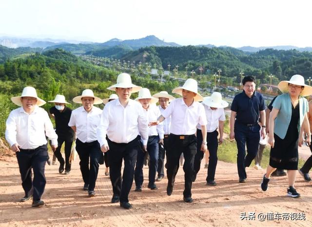 关注｜比亚迪王传福亲自签约，比亚迪再投近300亿新建工厂