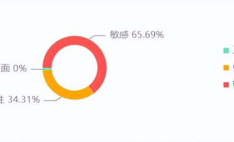 比亚迪汉又又又自燃？！“铁腕公关”失效，有网友不买帐