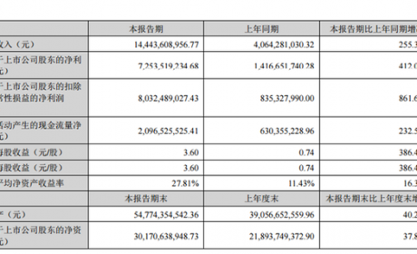 布局锂电池不如专心卖锂盐，赣锋锂业押注一体化是对是错？| 见智研究