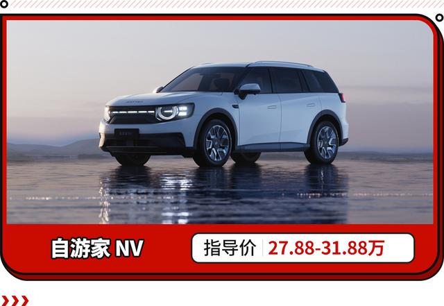 小牛电动车造SUV！5.9秒加速+女王座椅 自游家NV上市！