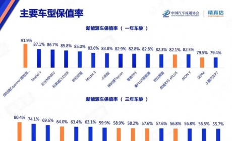 9月最保值的十大新能源车：欧拉黑猫排第二，比亚迪元上榜