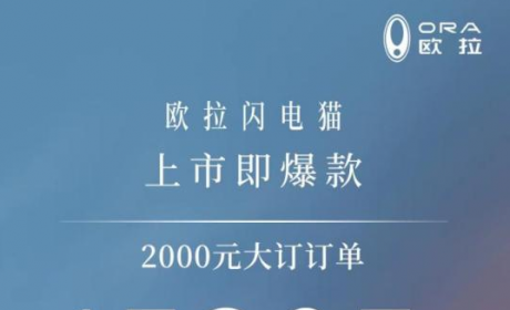 意料之外还是情理之中？欧拉闪电猫大订破1.5万台