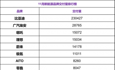 蔚小理有人掉队！黑马不行了？11月新能源销量榜出炉！