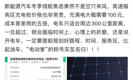 网友：纯电动车超过300公里 就是“电动爹”