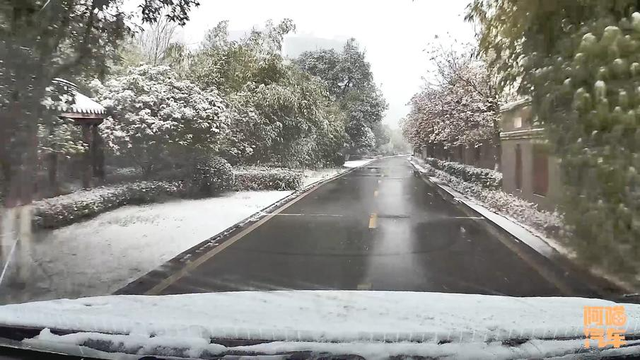 车牌被雪挡住了，开车上路会扣分吗？喵哥告诉你正确做法，别踩坑