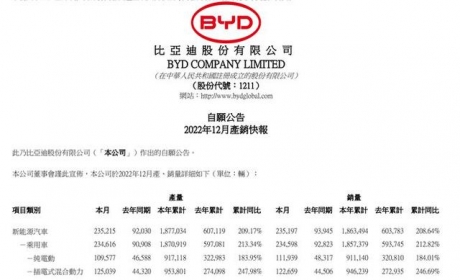 12月比亚迪再破20万台，年度销冠十拿九稳，现实版独孤求败？