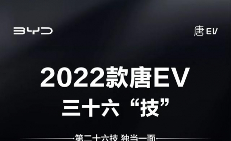 2022款唐EV三十六技 第二十六技独当一面