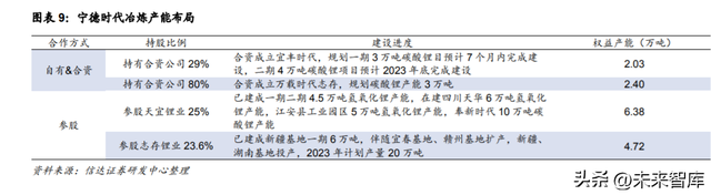 锂电池行业专题报告：一体化进程加速，原材料成为竞争力核心要素