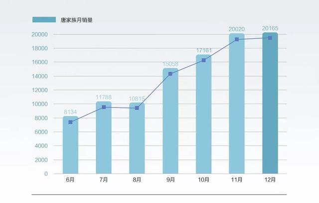 领跑华系高端SUV进阶路，比亚迪唐家族年终盘点！