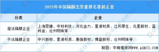 2023年中国锂电池隔膜行业市场前景及投资研究报告（简版）