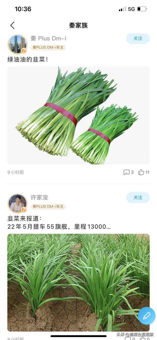 加量不加价，比亚迪秦plus出新款被指割韭菜