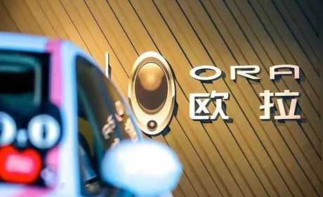 2022年销量劲增46.45%，今年的欧拉汽车，能否保持这股劲头？