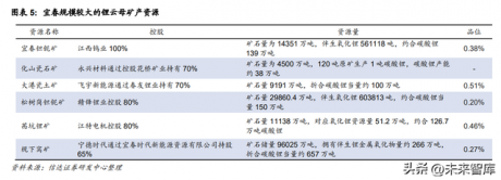 锂电池行业专题分析：产业链布局进程加速，提高综合成本优势