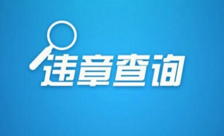 单位车怎么查违章？查违章软件，查违章平台，查违章地方？